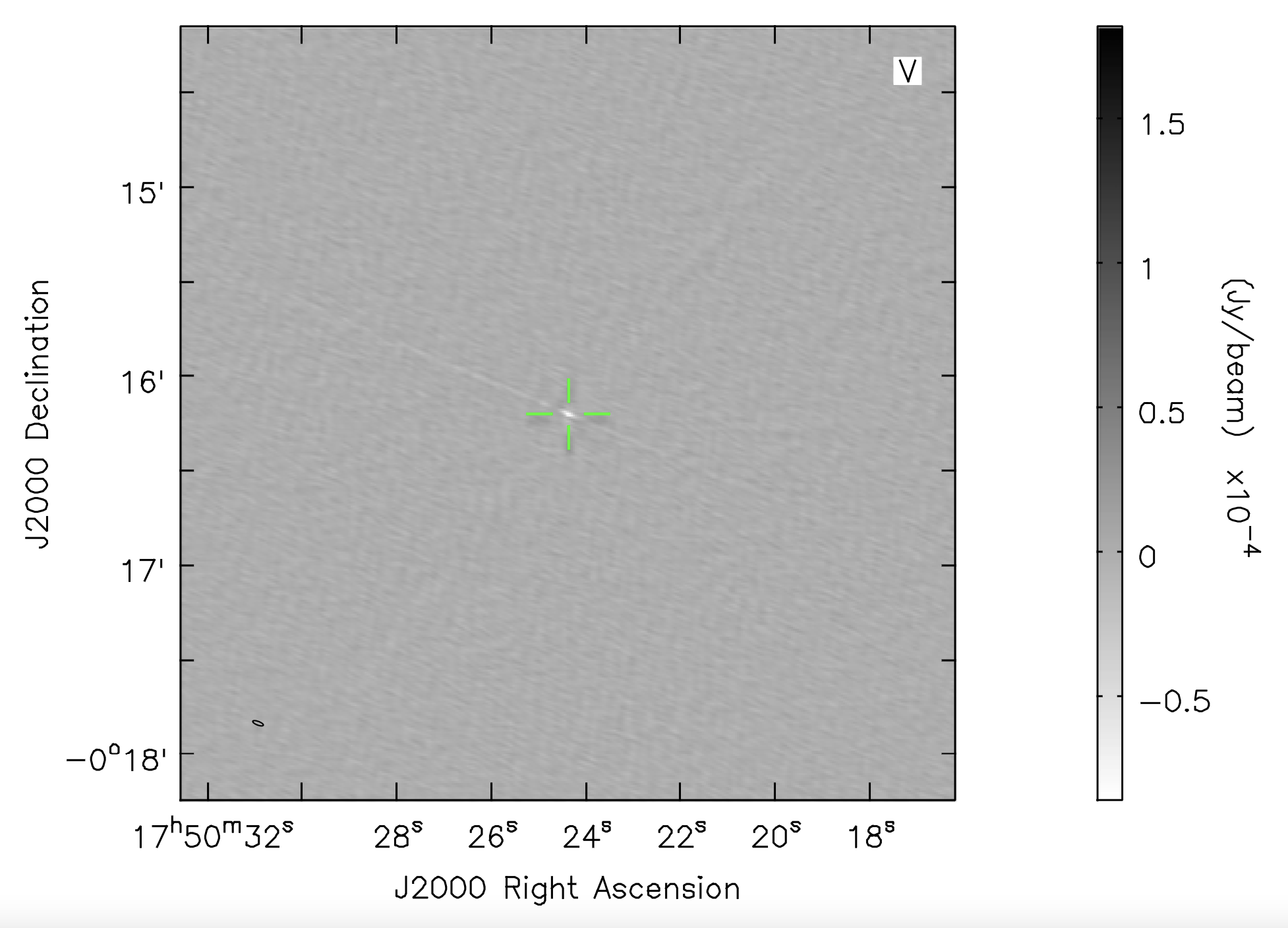 Brown dwarf auroral detection in circular polarization
